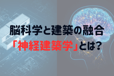 脳科学と建築の融合「神経建築学」とは？