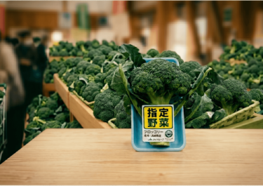 【格上げ】ブロッコリーが「指定野菜」ってどういうこと？